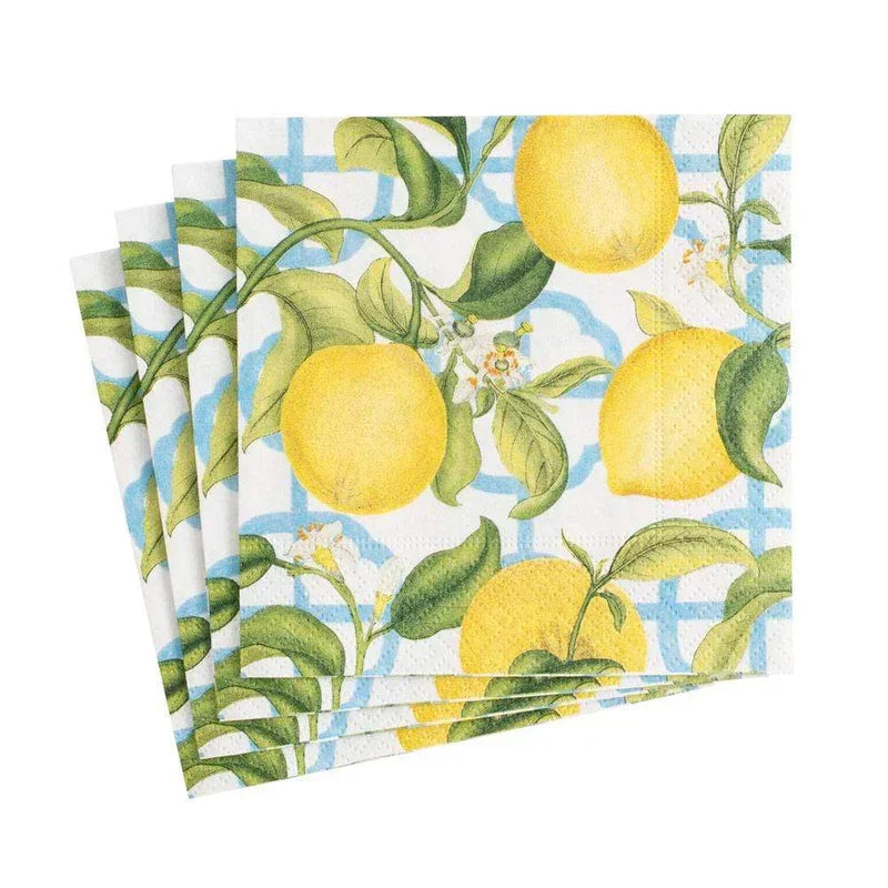 Caspari Seville Paper Cocktail Napkins in Ivory - 20 Per Package - Marcel’s Culinary Experience
