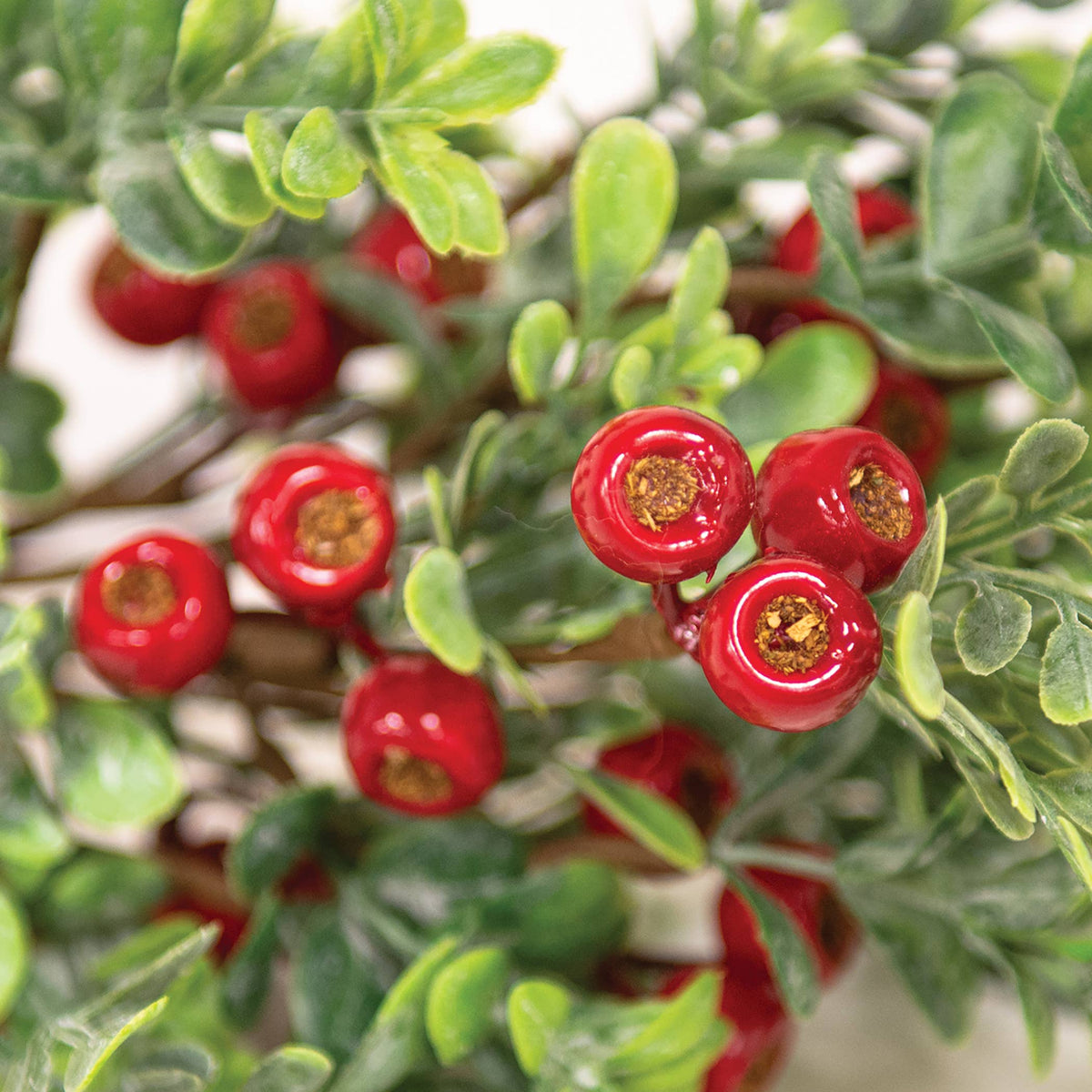 Frosted Boxwood & Gooseberry Spray, 14"