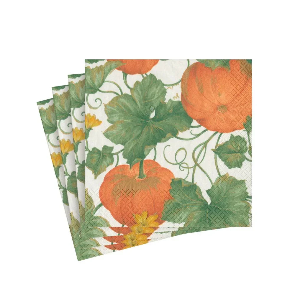 Heirloom Pumpkins Paper Cocktail Napkins in Ivory & Orange - Marcel’s Culinary Experience