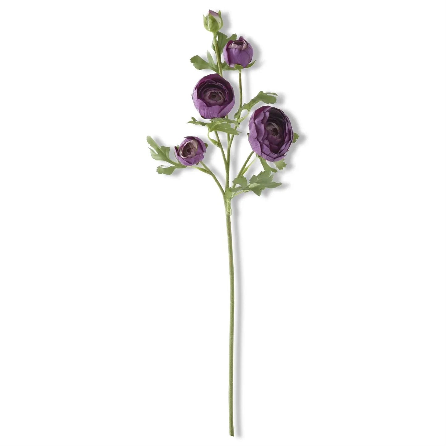 Dark Purple Real Touch 5 Head Ranunculus Stem 24.5" - Marcel’s Culinary Experience