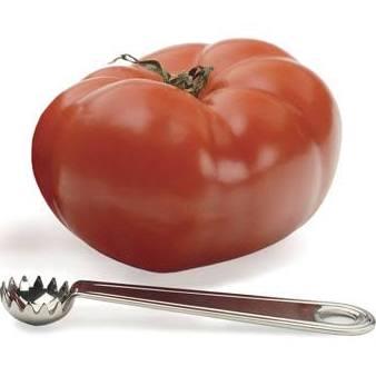 Tomato Huller Stainless Steel - Marcel’s Culinary Experience