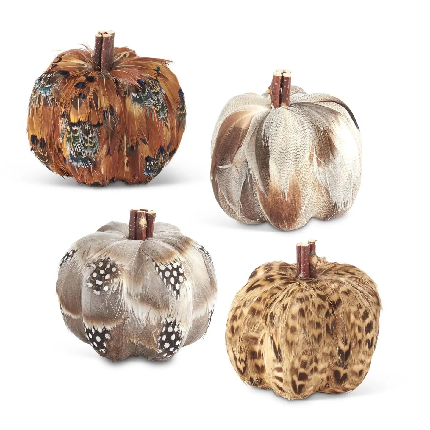 Assorted Feather Pumpkins - 4 Styles 3.25" - Marcel’s Culinary Experience