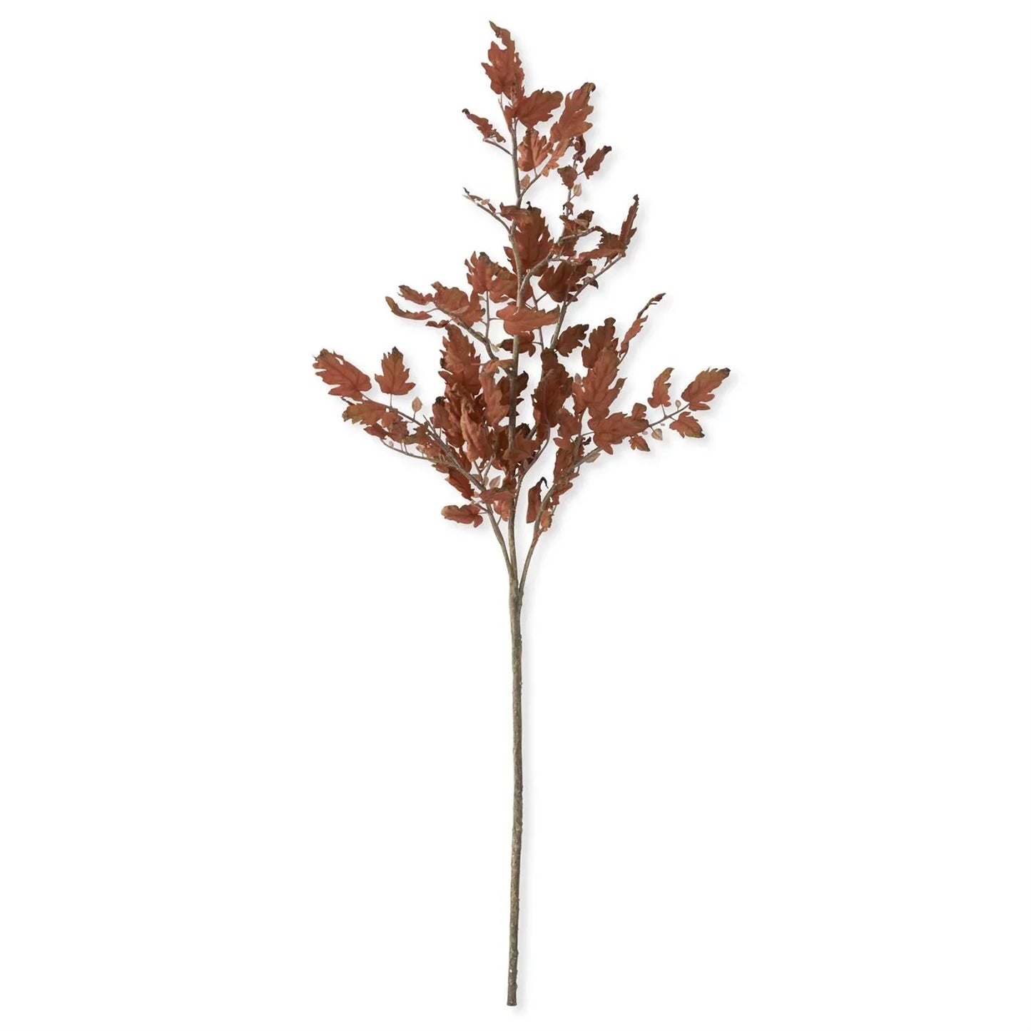 Oak Branch 45" - Marcel’s Culinary Experience