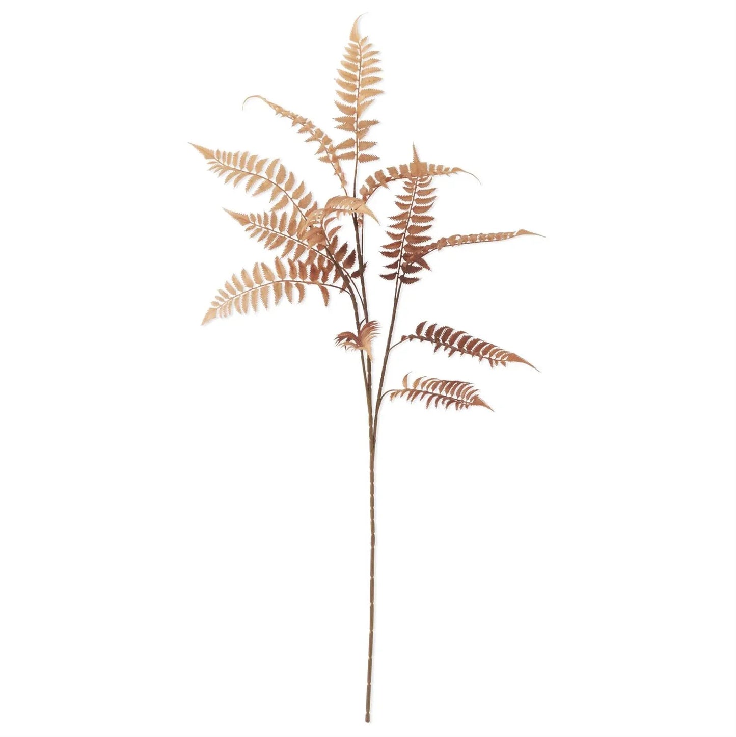 Orange w/Brown Speckles Fern Spray 39" - Marcel’s Culinary Experience