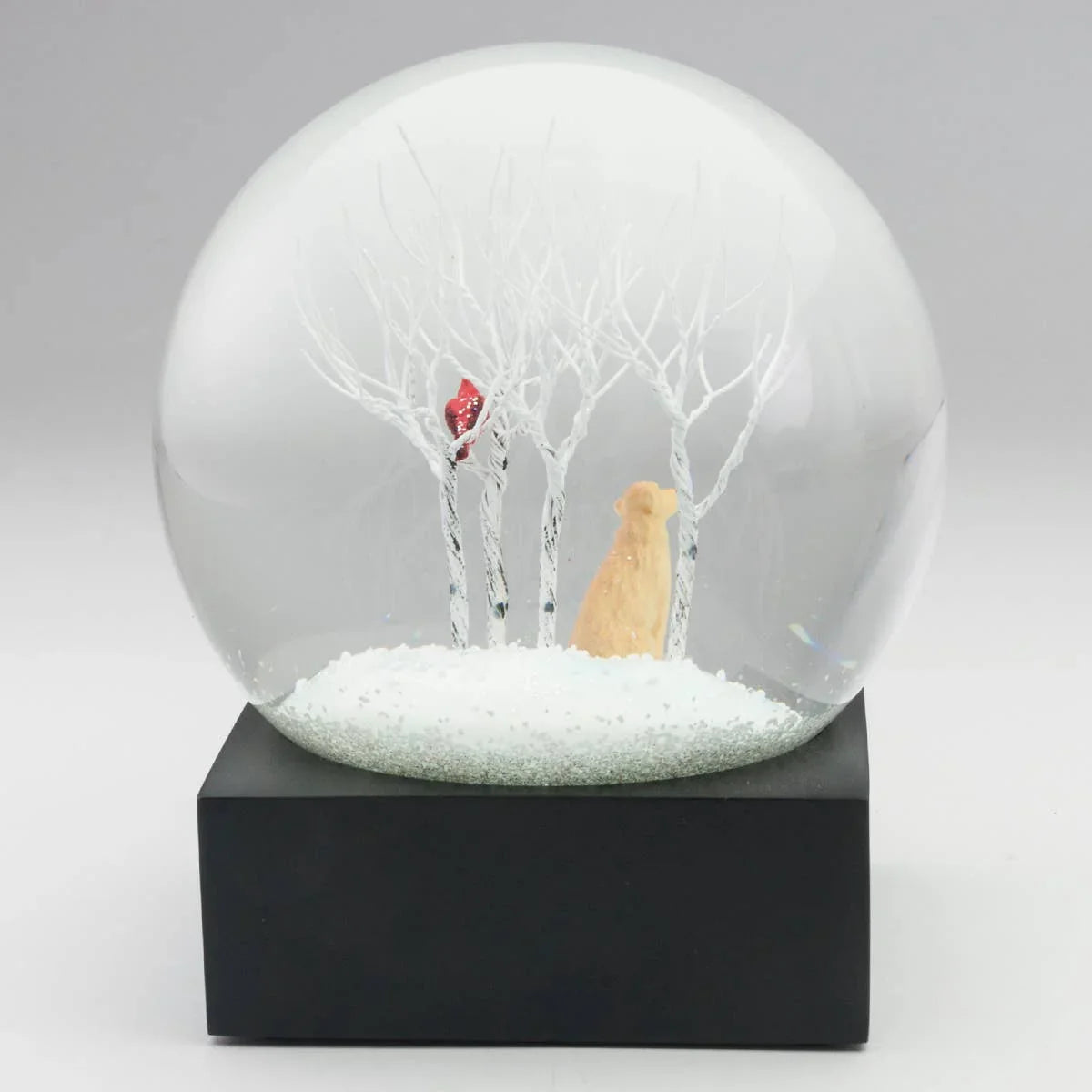 Lab in the Woods Snow Globe - Marcel’s Culinary Experience