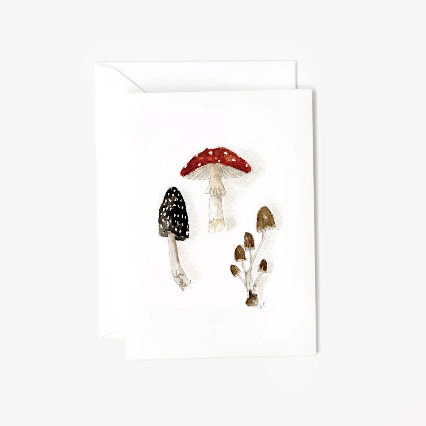 Mushrooms mini notecard - Marcel’s Culinary Experience