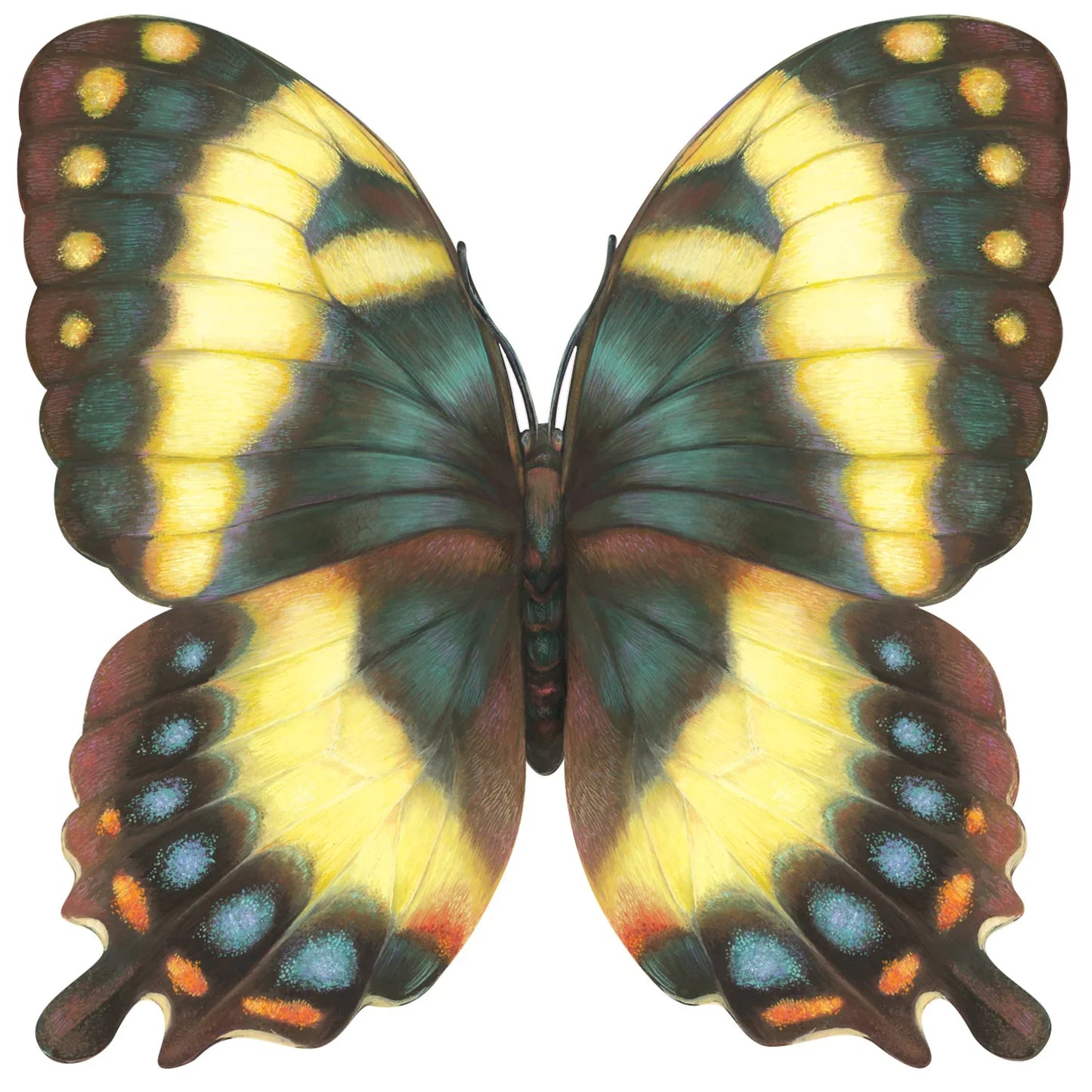 Hester & Cook Die-cut Butterfly Placemat - Marcel’s Culinary Experience