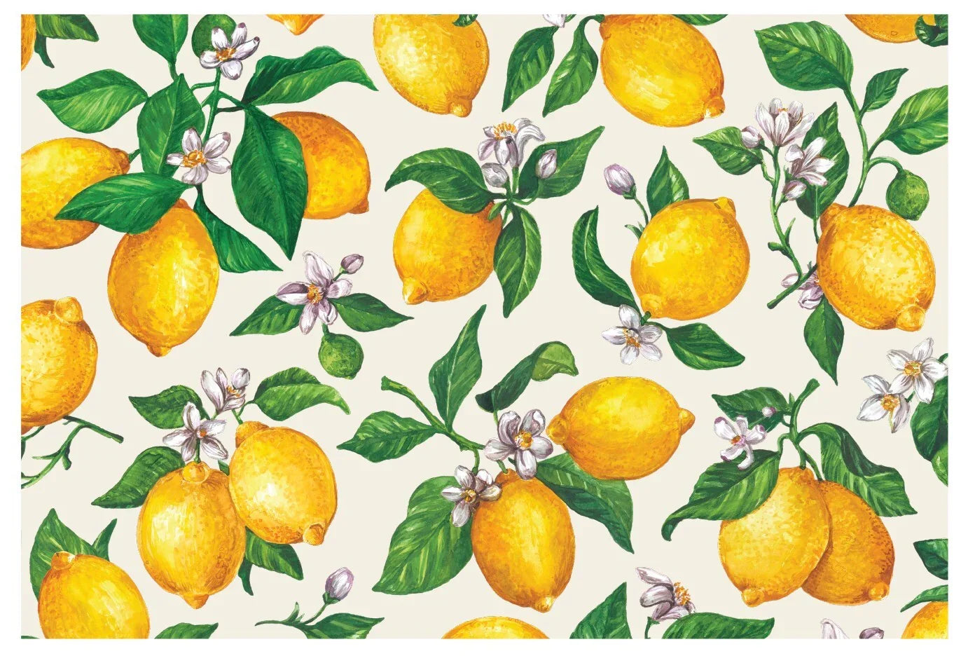 Hester & Cook Lemons Placemat - Marcel’s Culinary Experience
