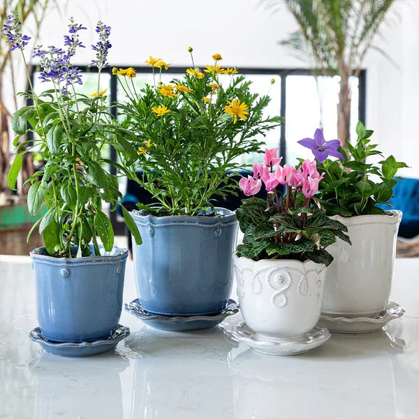 Juliska Berry & Thread 5" Planter - Whitewash - Marcel’s Culinary Experience