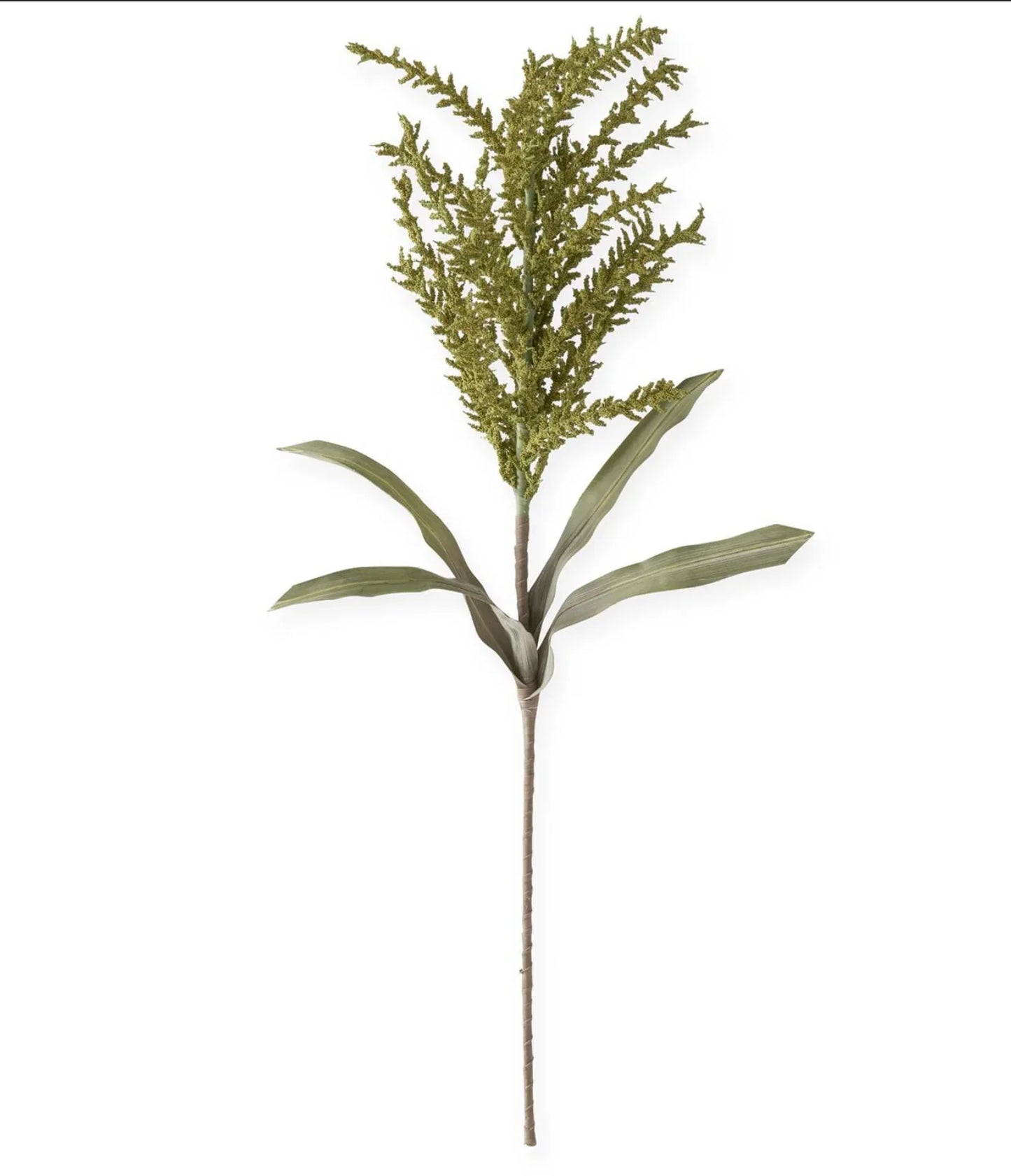 Seed Berry Eva Stem 40" Green - Marcel’s Culinary Experience