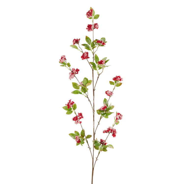 39 Snowy Red Berry Branch