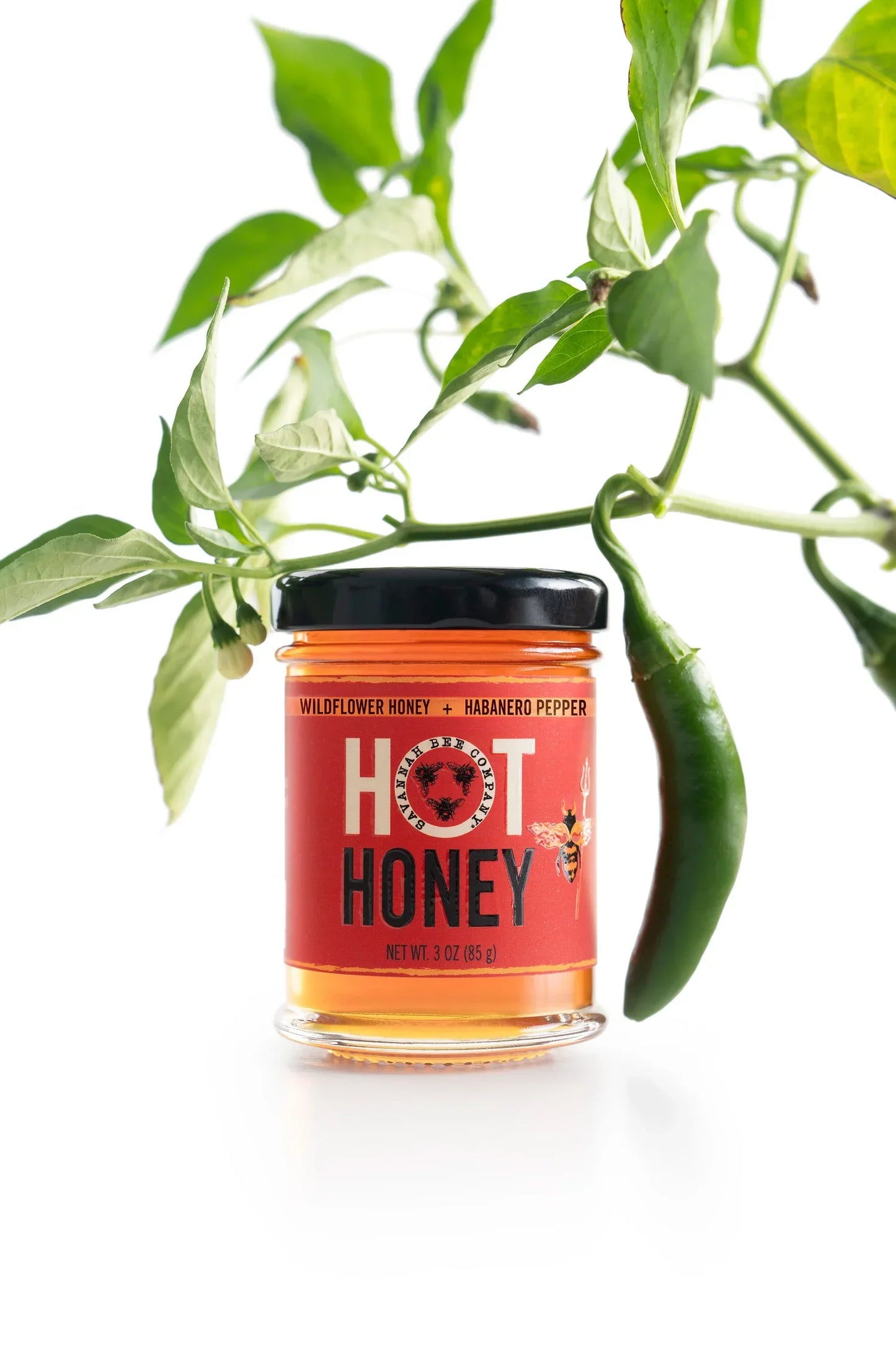 Jar of hot honey with wildflower honey and habanero pepper label, next to green chili pepper and leaves
