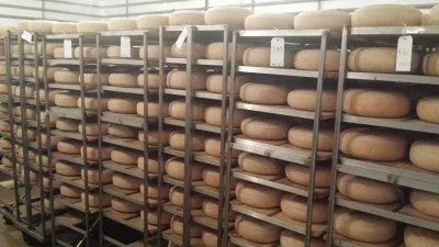 A Cheese Adventure by Maureen McHugh - Marcel’s Culinary Experience