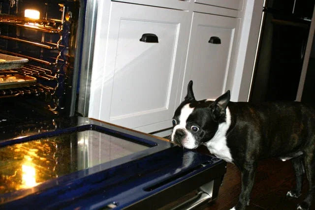 Cooking Companion by Kelly Montgomery - Marcel’s Culinary Experience