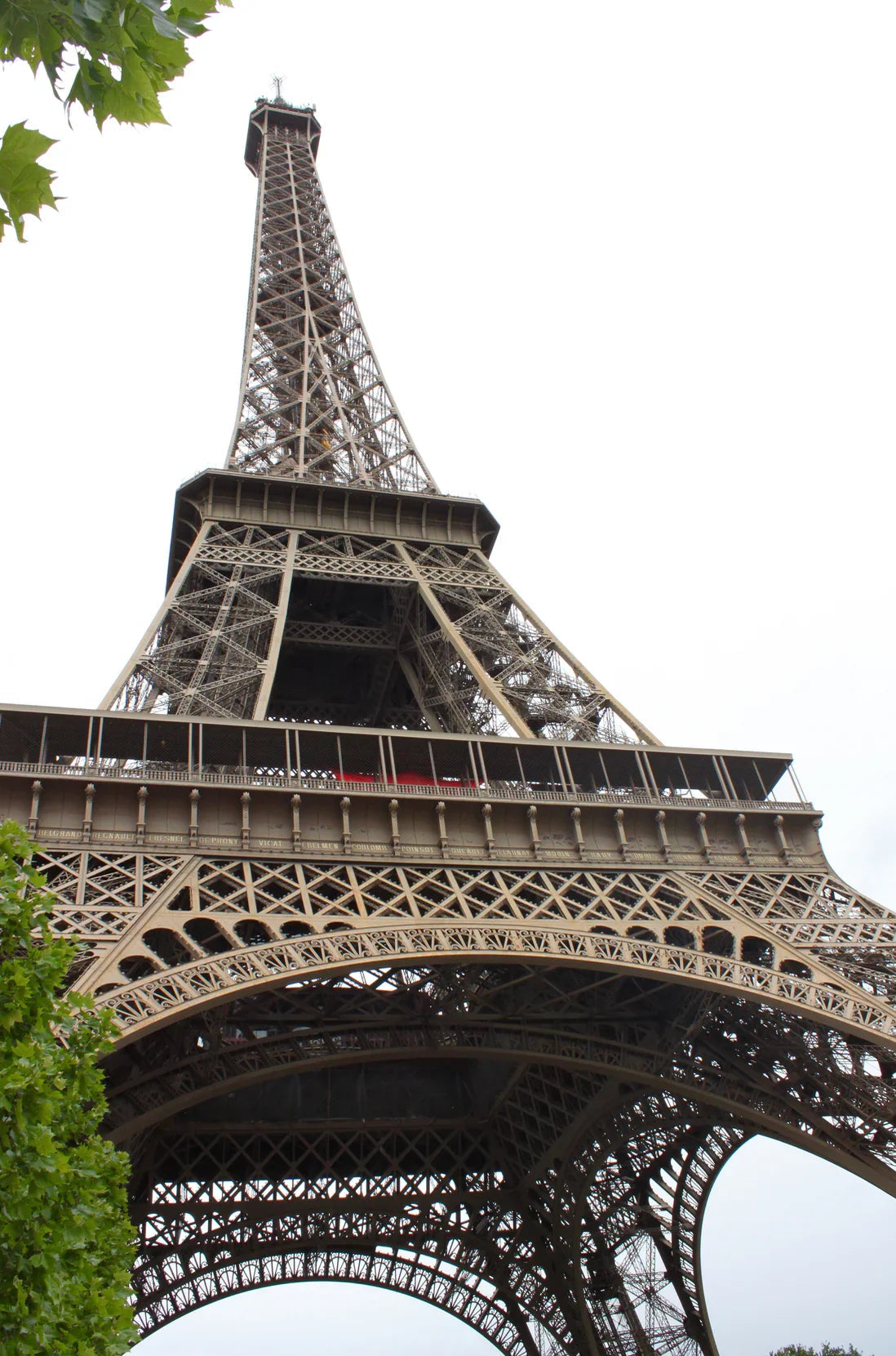 Low-angle view of Eiffel Tower iron lattice structure with green tree leaves and overcast sky