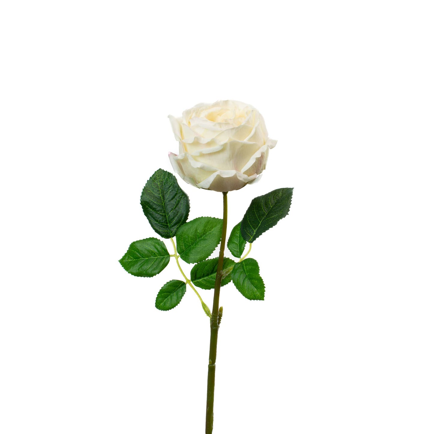 English Rose Stem Champagne Real Touch 17 Inch