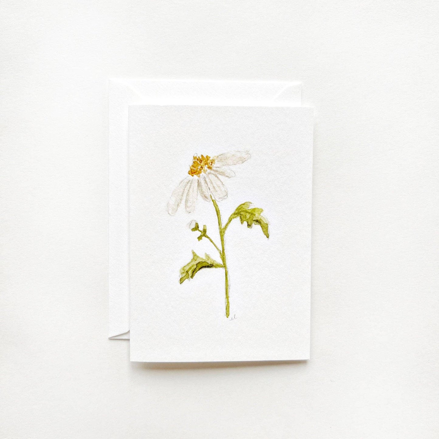 Daisy mini notecard - Marcel’s Culinary Experience