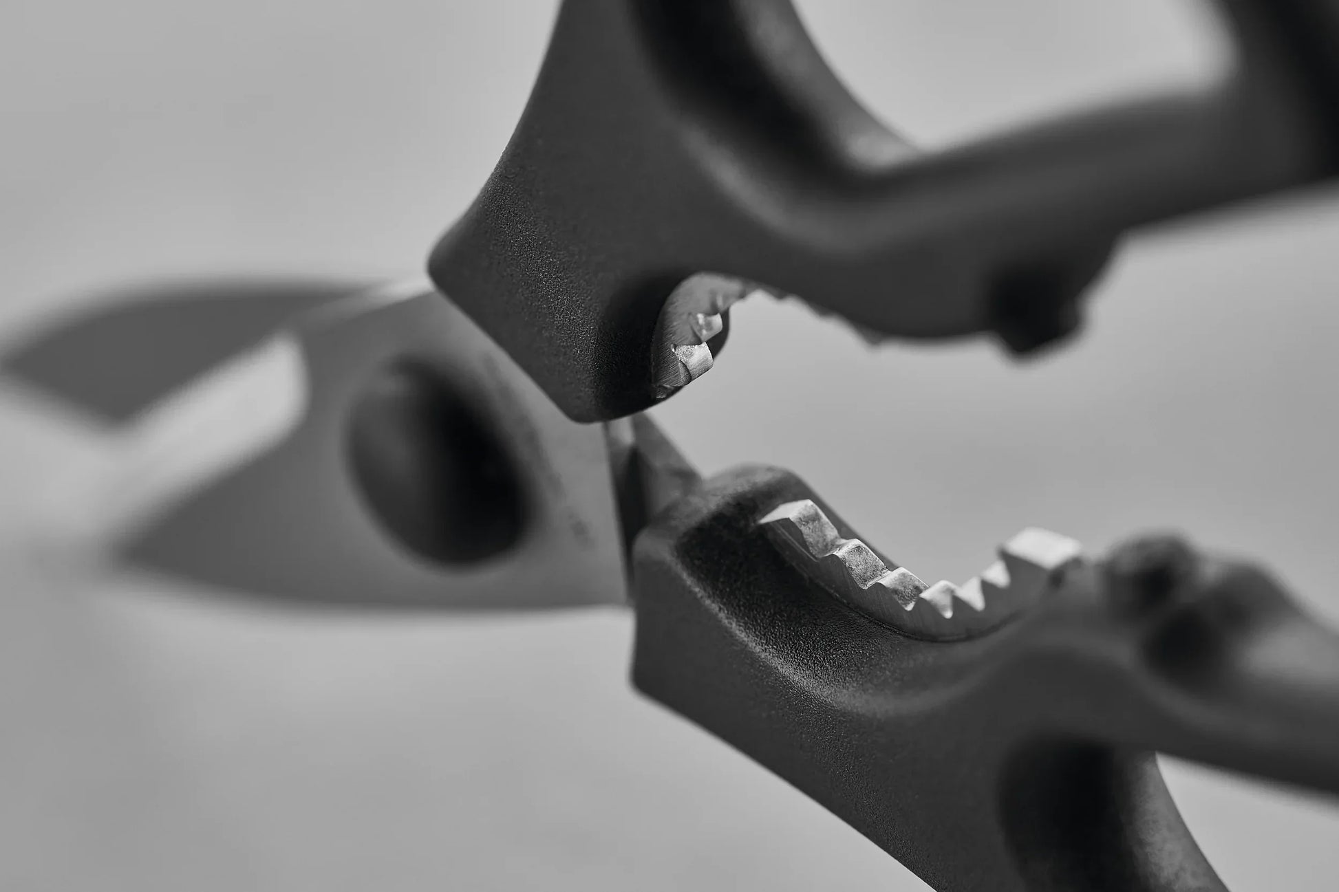 Wüsthof Classic Ikon 8pc Acacia Set - Marcel’s Culinary Experience