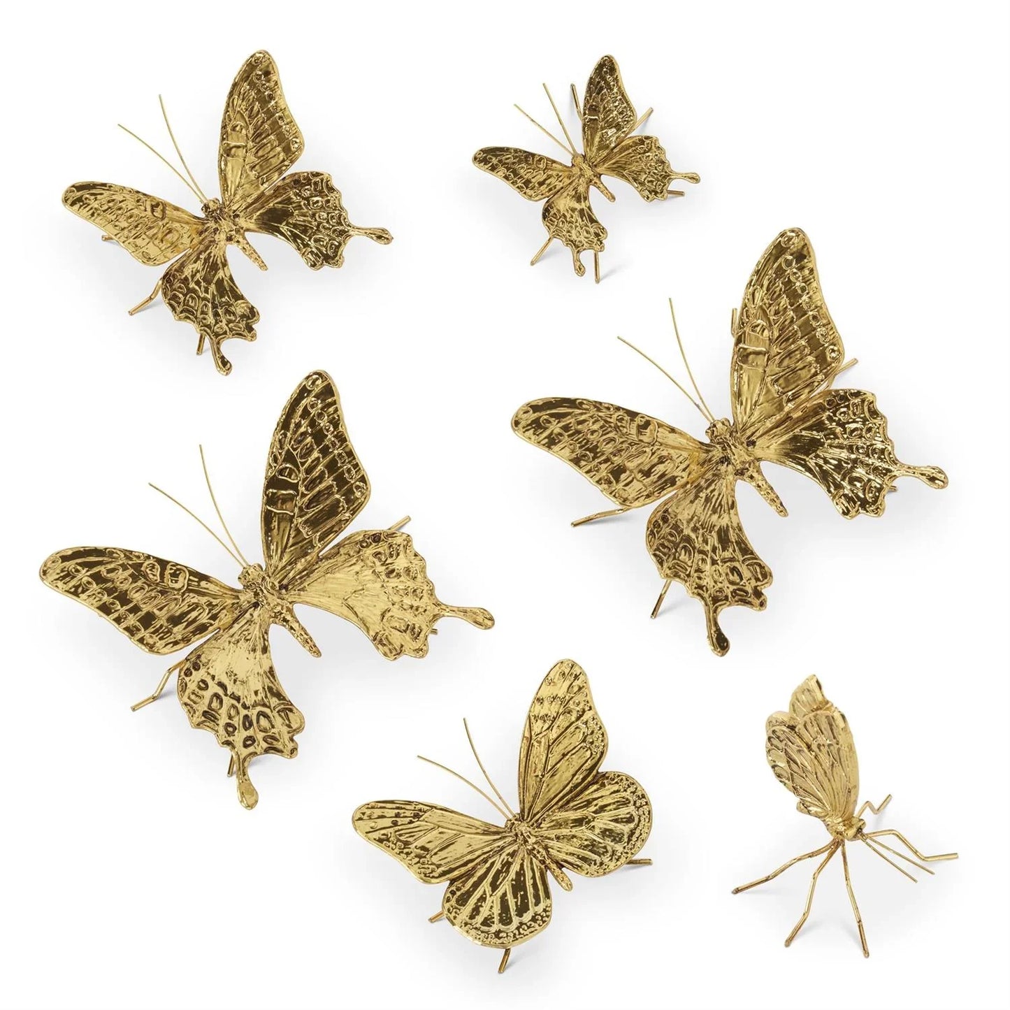 Gold Butterflies - Marcel’s Culinary Experience