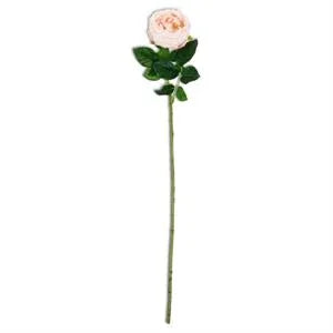 Peach Real Touch Austin Rose Stem 24" - Marcel’s Culinary Experience