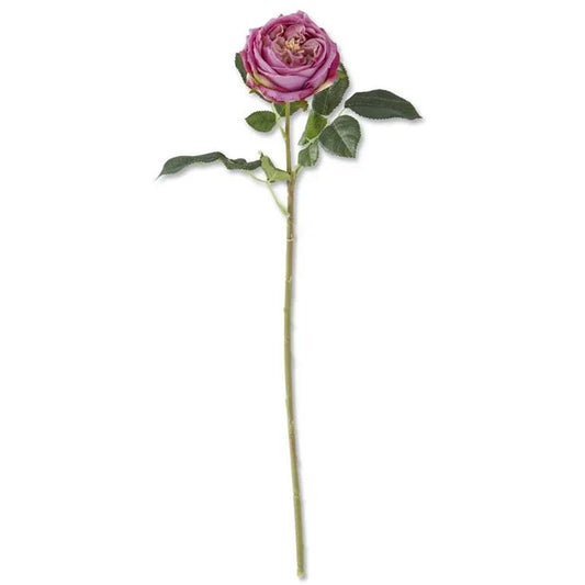 Dark Purple Real Touch Austin Rose Stem 24" - Marcel’s Culinary Experience