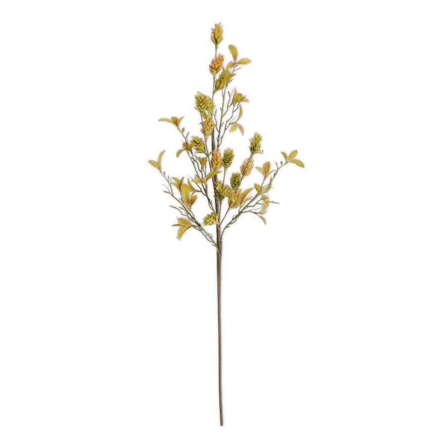 Orange & Green Hops Stem 32" - Marcel’s Culinary Experience