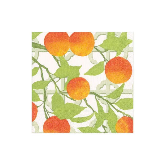 Caspari Orange Grove Paper Cocktail Napkins - 20 Per Package - Marcel’s Culinary Experience