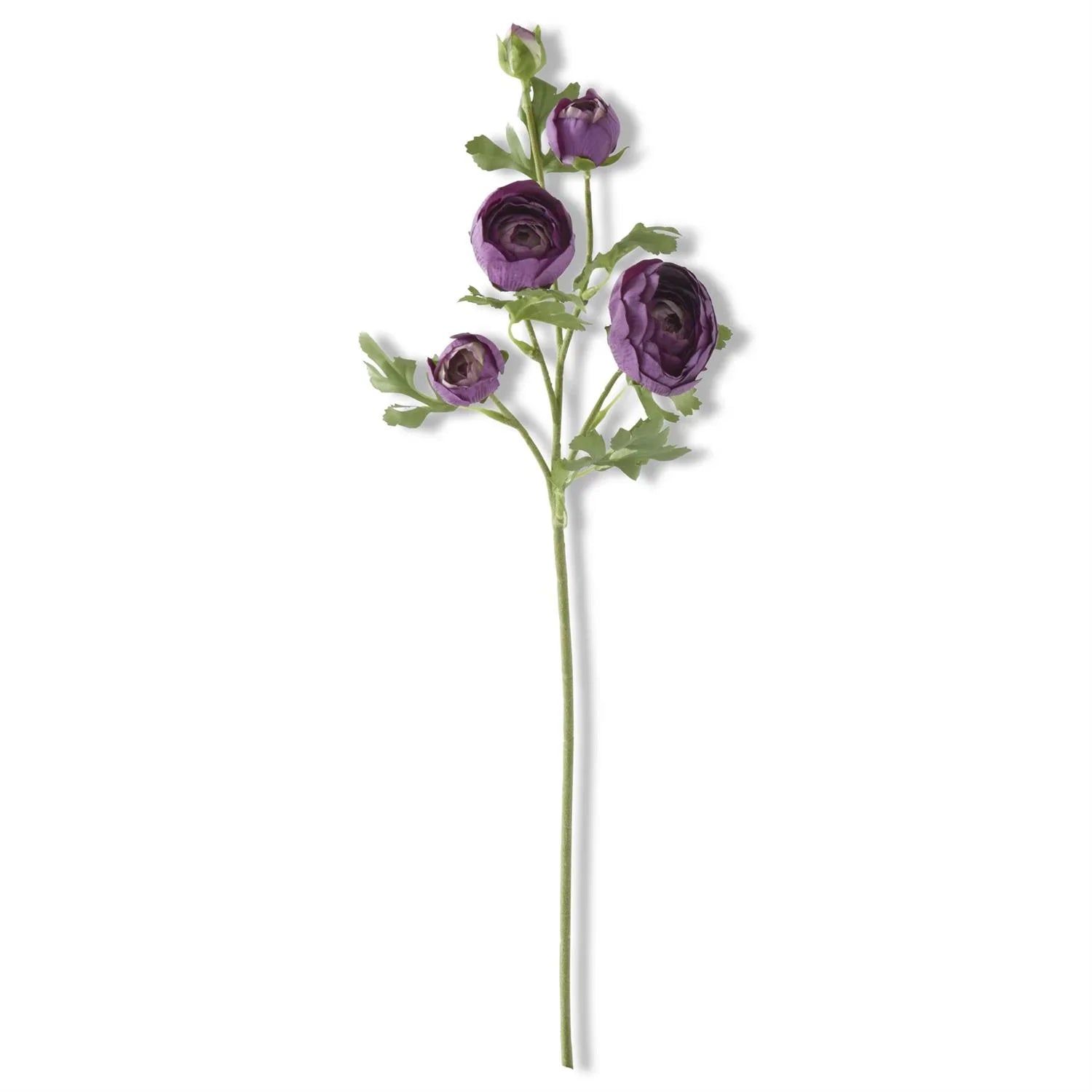 Dark Purple Real Touch 5 Head Ranunculus Stem 24.5" - Marcel’s Culinary Experience