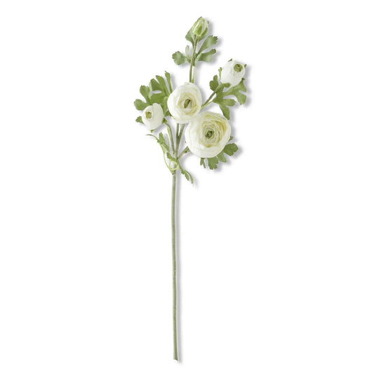 White Real Touch 5 Head Ranunculus Stem 24.5" - Marcel’s Culinary Experience