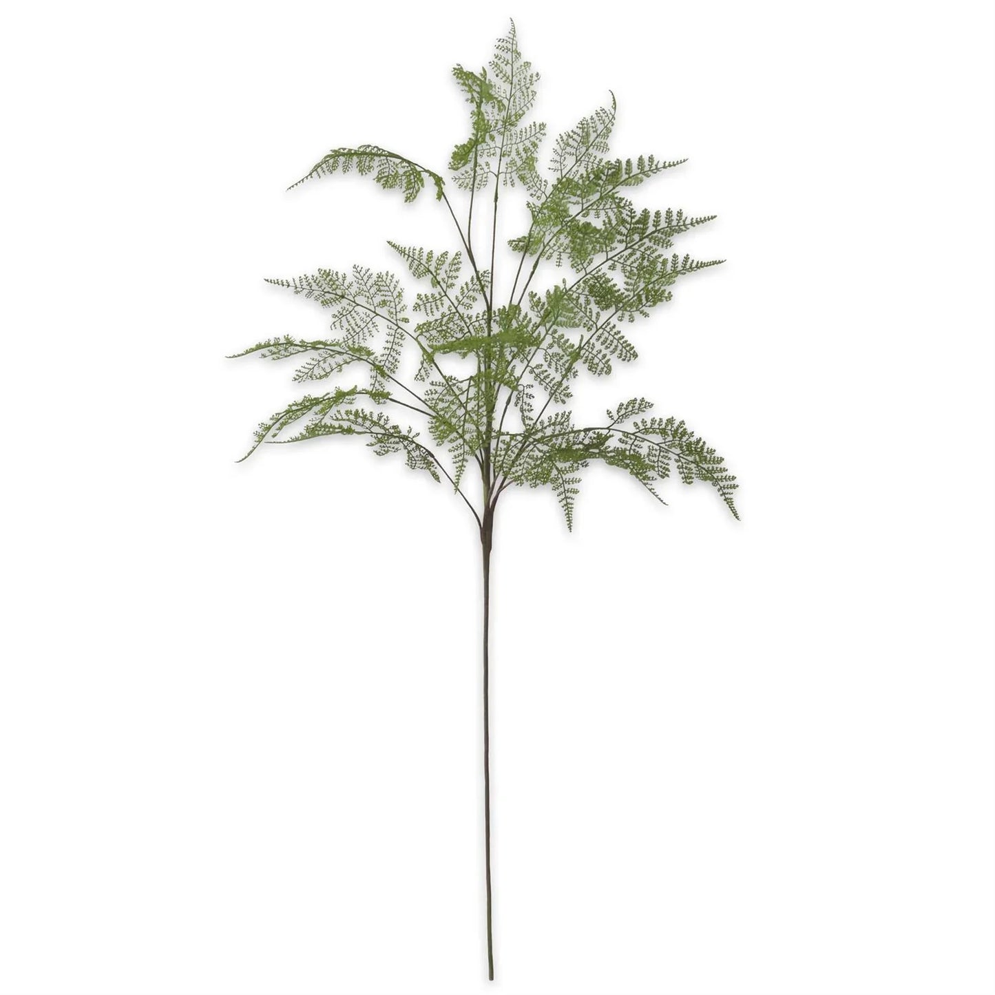 Real Touch Lace Fern Spray 46" - Marcel’s Culinary Experience