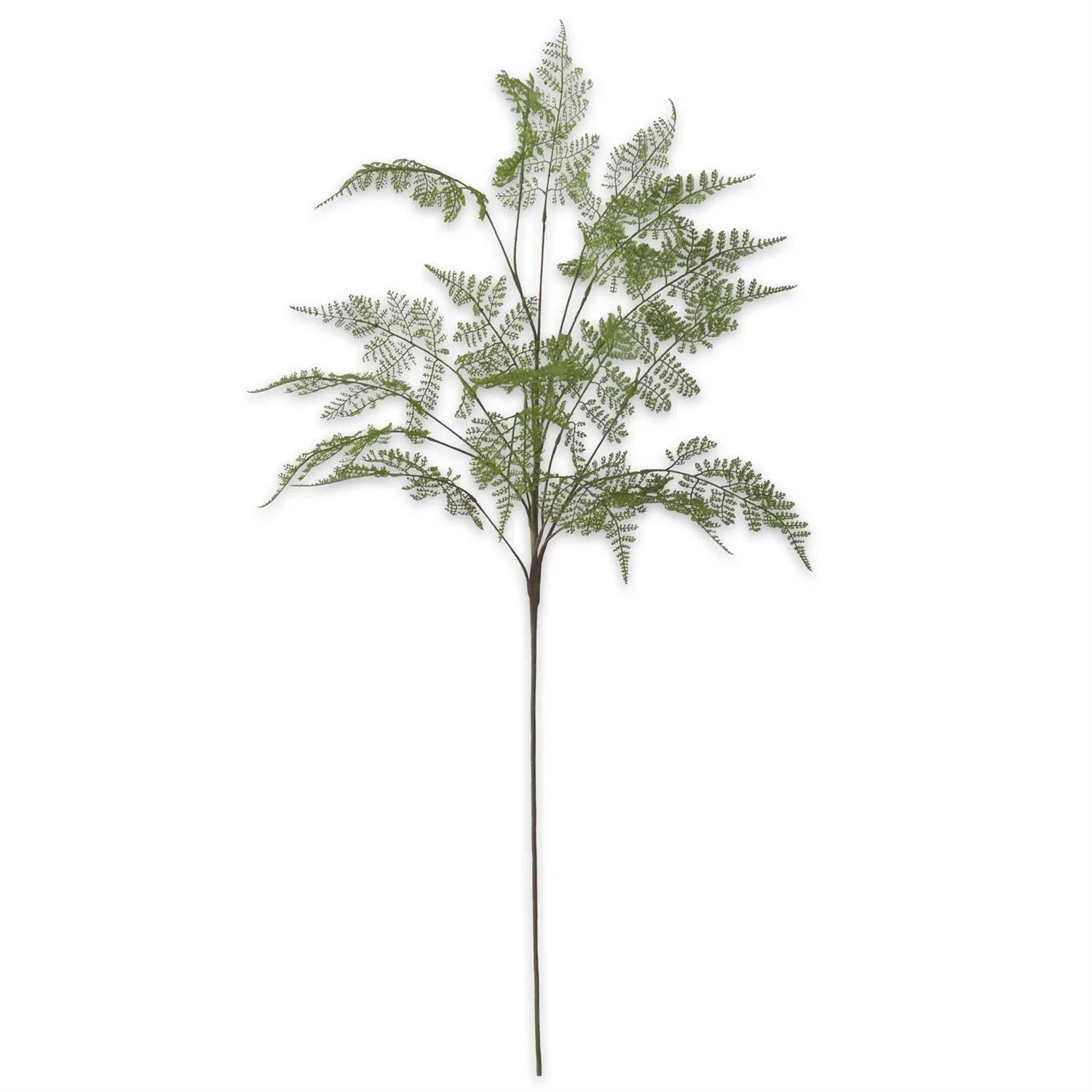 Real Touch Lace Fern Spray 46" - Marcel’s Culinary Experience