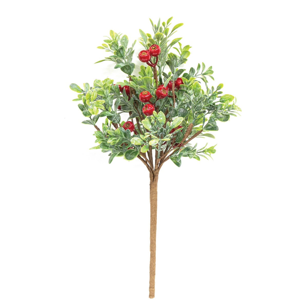 Frosted Boxwood & Gooseberry Spray, 14"
