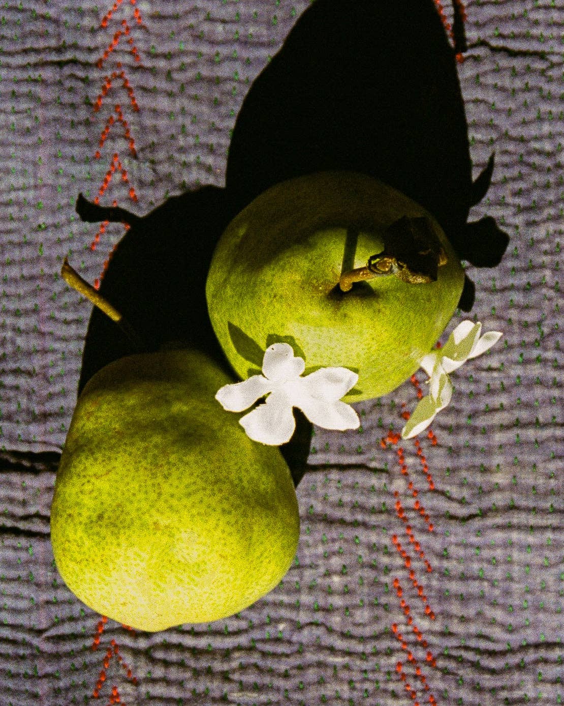 Jasmine Green Tea