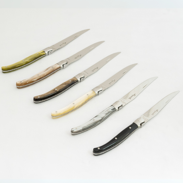 Jean Dubost 6 Steak Knives in Mineral Colors in Clasp Box