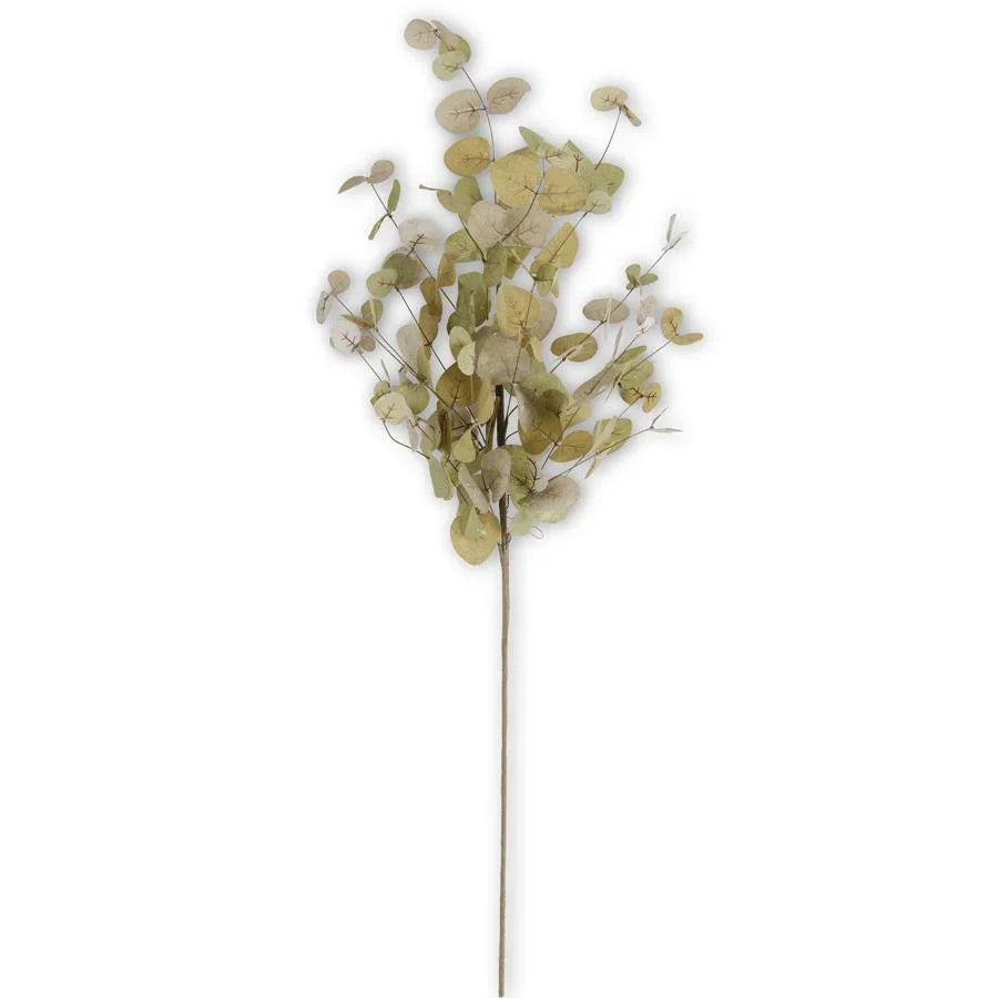Green Two-Tone Eucalyptus Stem 36" - Marcel’s Culinary Experience
