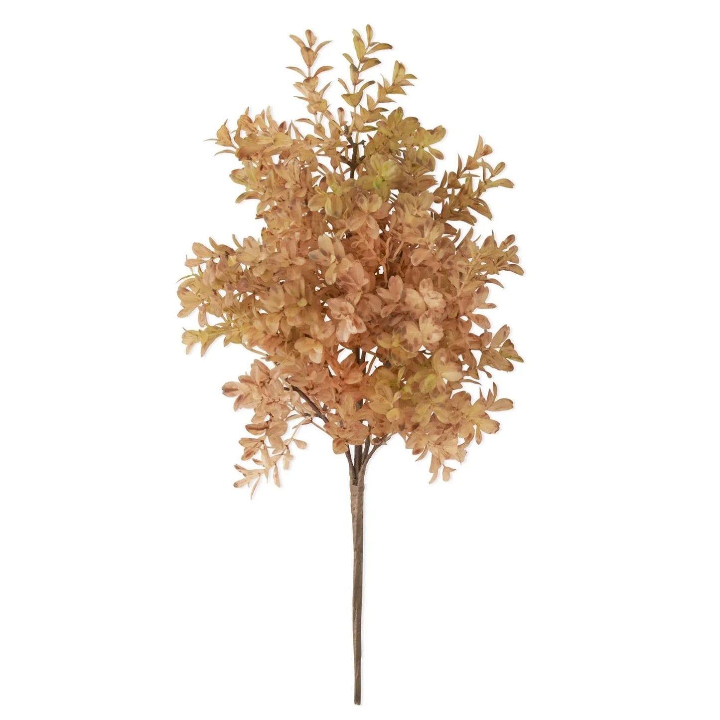 Brown w/Green Myrtle Bush 16" - Marcel’s Culinary Experience