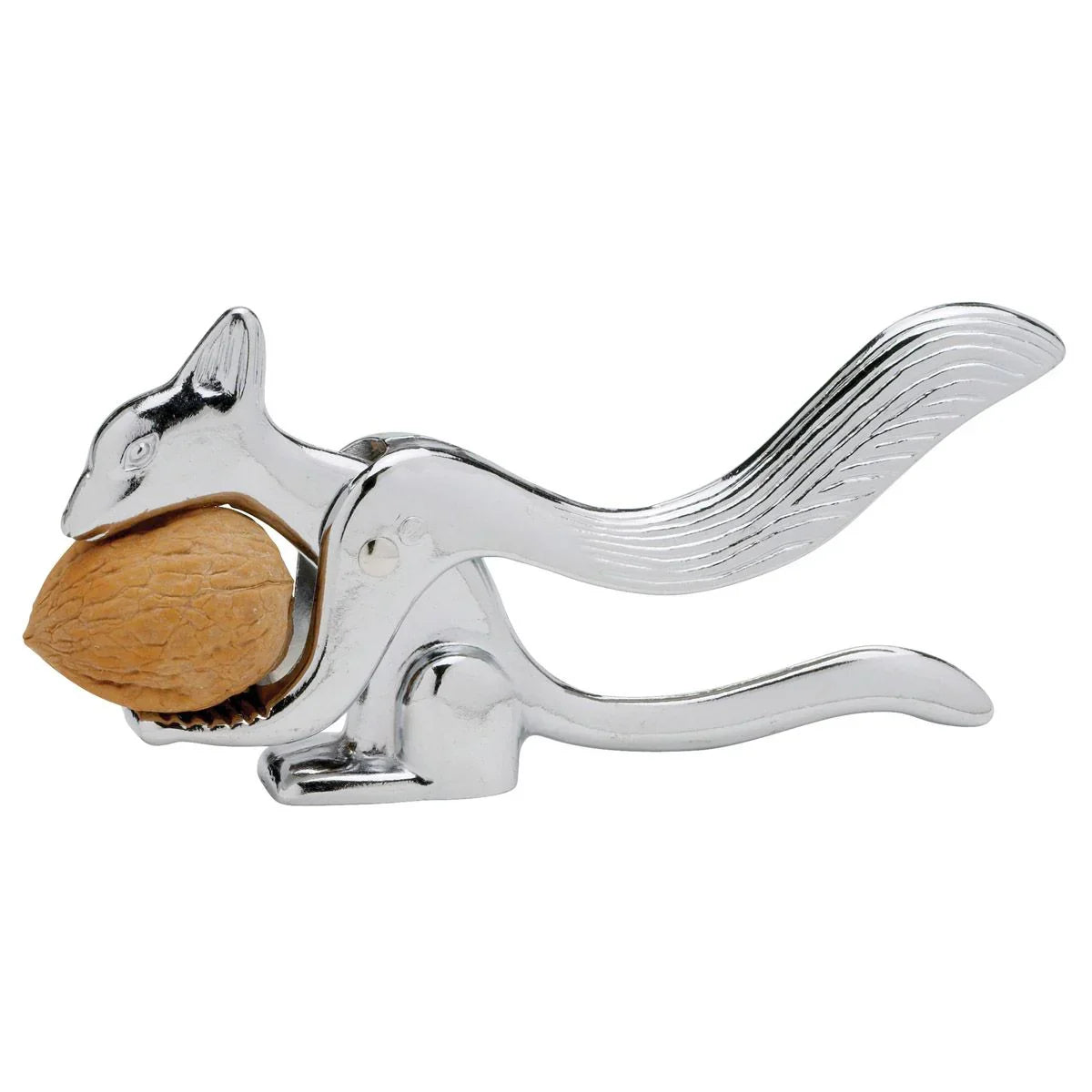 Squirrel Nutcracker - Marcel’s Culinary Experience