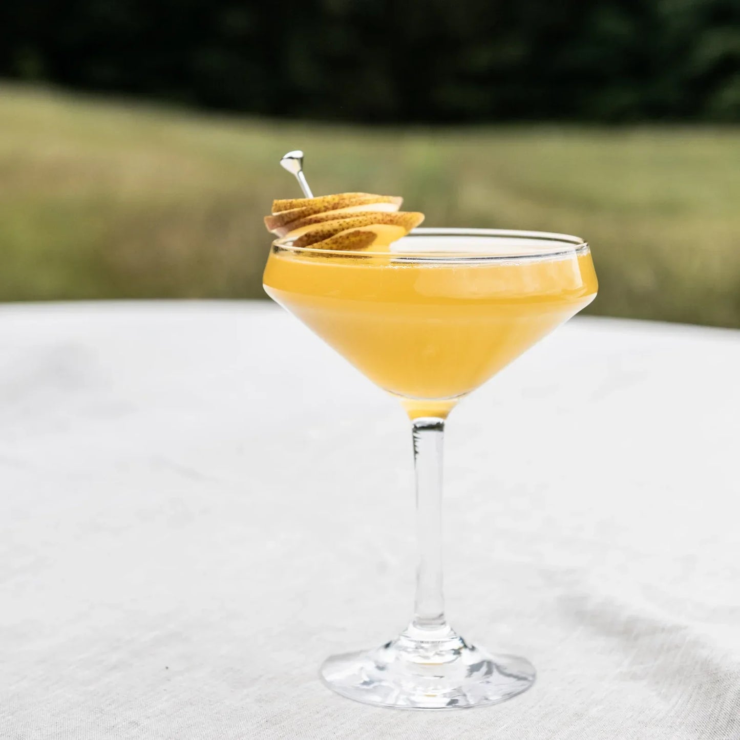 Simon Pearce Vintner Coupe - Marcel’s Culinary Experience