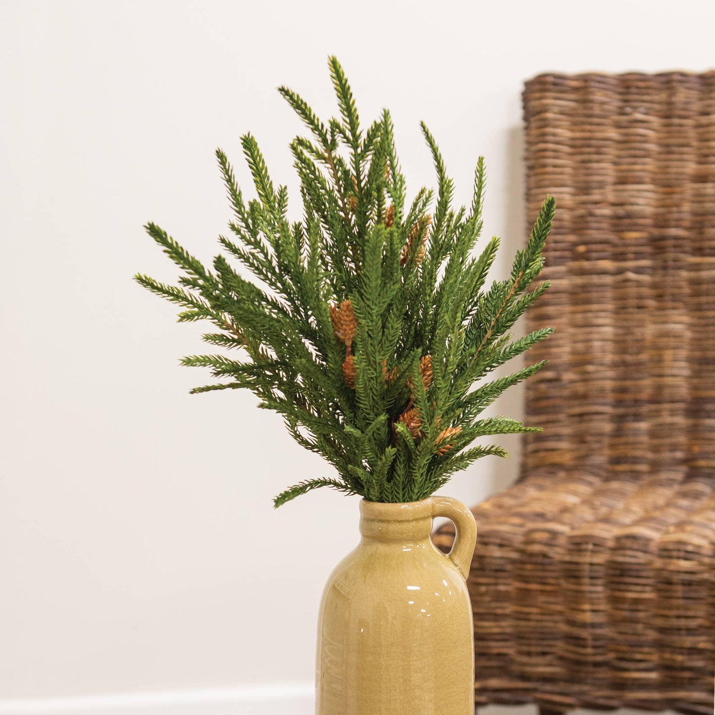 Soft Touch Austrian Pine Bush - 20" - Marcel’s Culinary Experience
