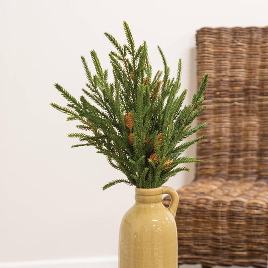 Soft Touch Austrian Pine Bush - 20" - Marcel’s Culinary Experience