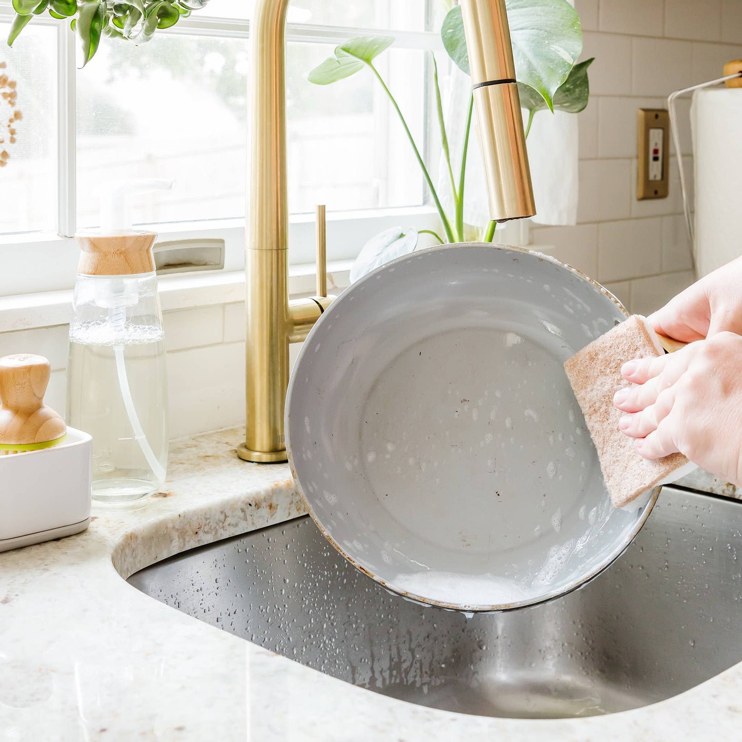 In A Nutshell Scrubber Sponge (6pk)