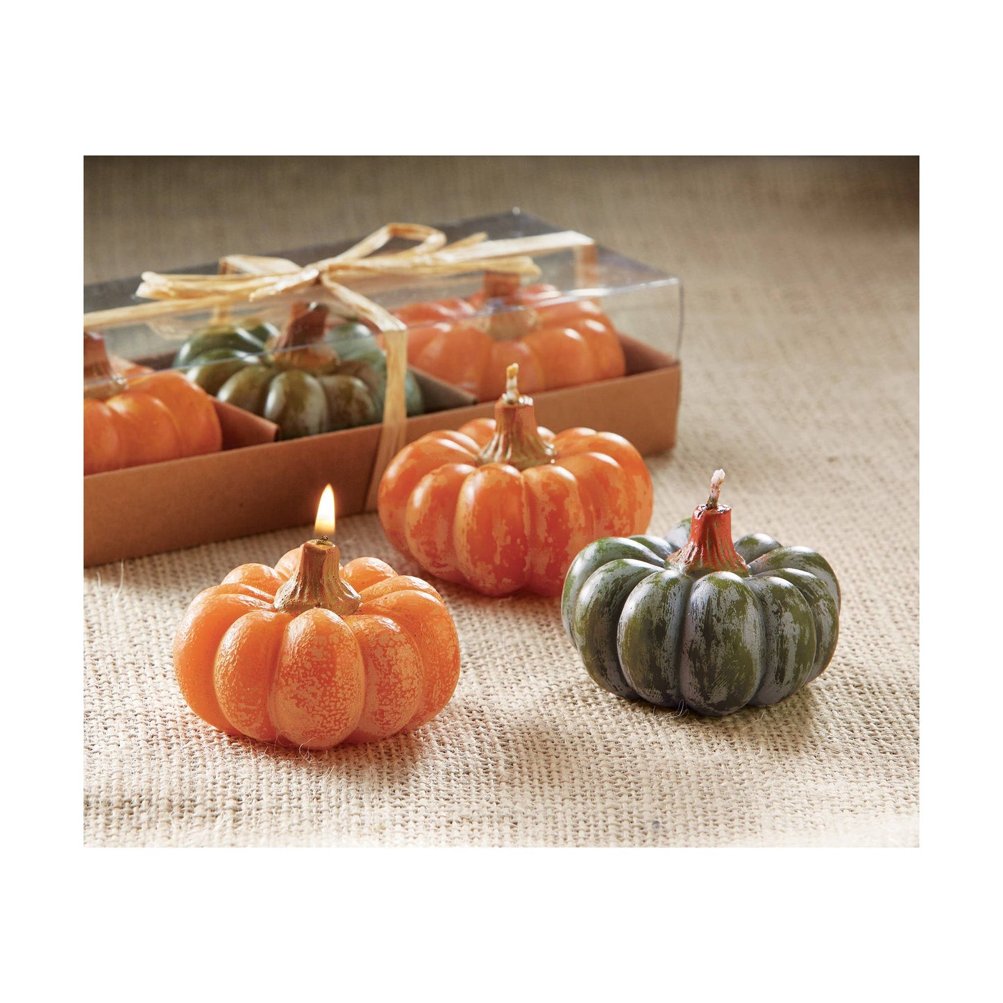 Heirloom Pumpkin Set of 3 Orange Pac Fall