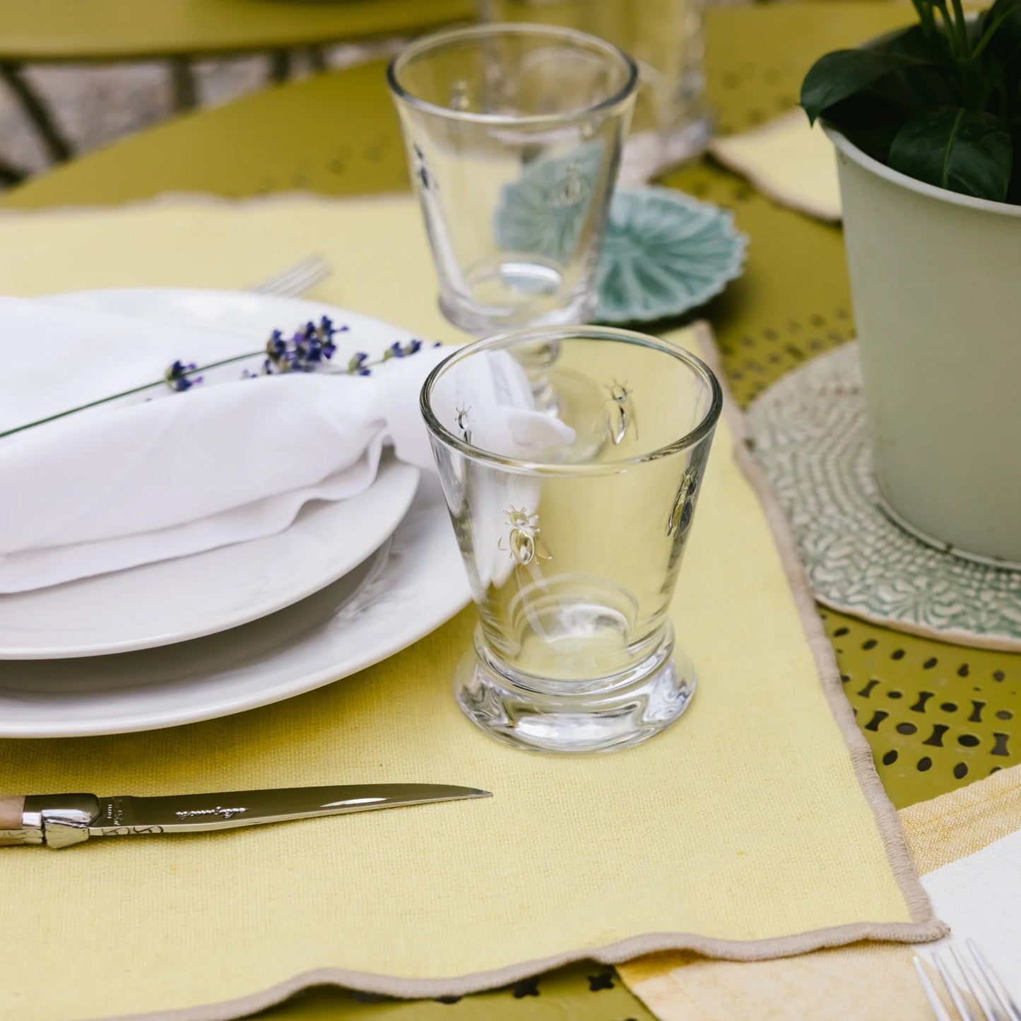Table setting with clear glasses decorated with insects, white plates, yellow placemat, and potted plant