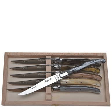 Jean Dubost 6 Steak Knives in Mineral Colors in Clasp Box