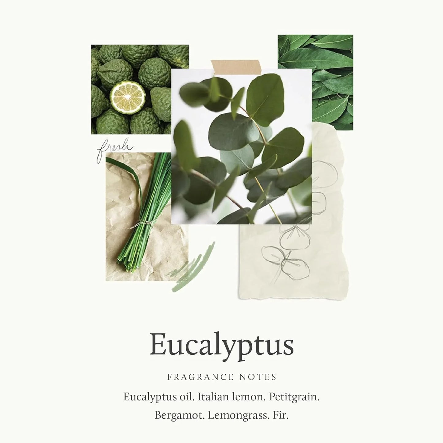 Thymes Eucalyptus Nourishing Hand Wash