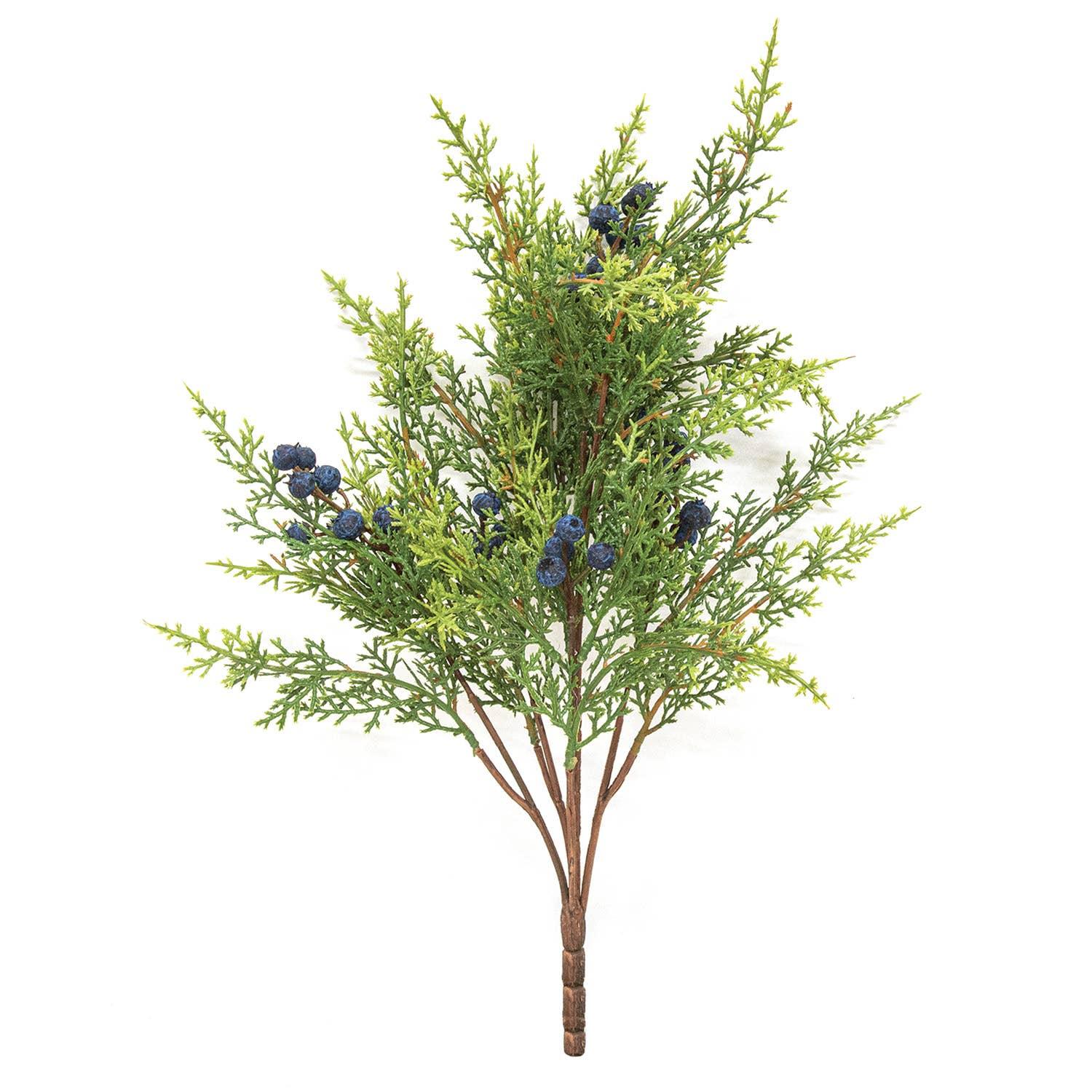 Blue Berry & Cedar Bush, 17" - Marcel’s Culinary Experience