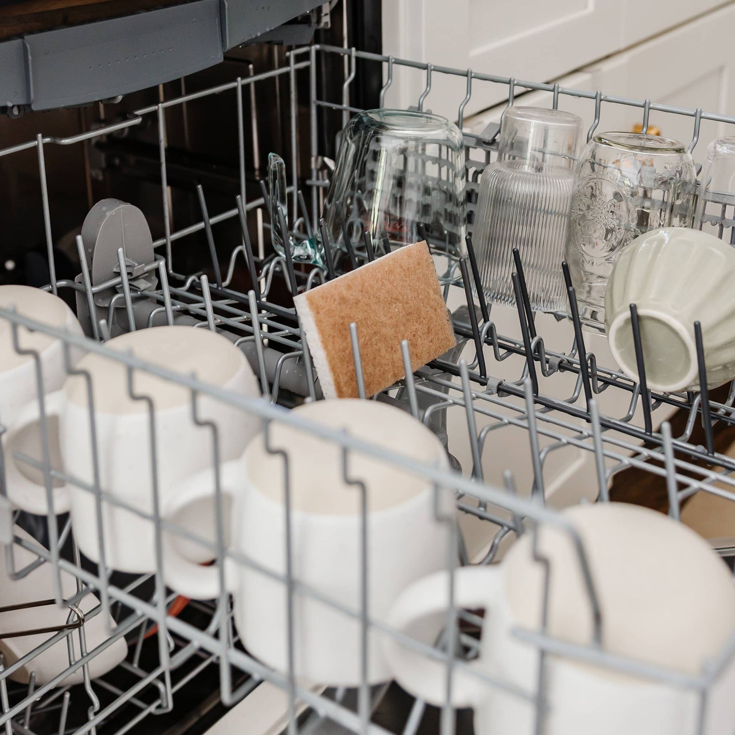 In A Nutshell Scrubber Sponge (6pk)