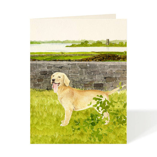 Golden Retriever Dog Greeting Card
