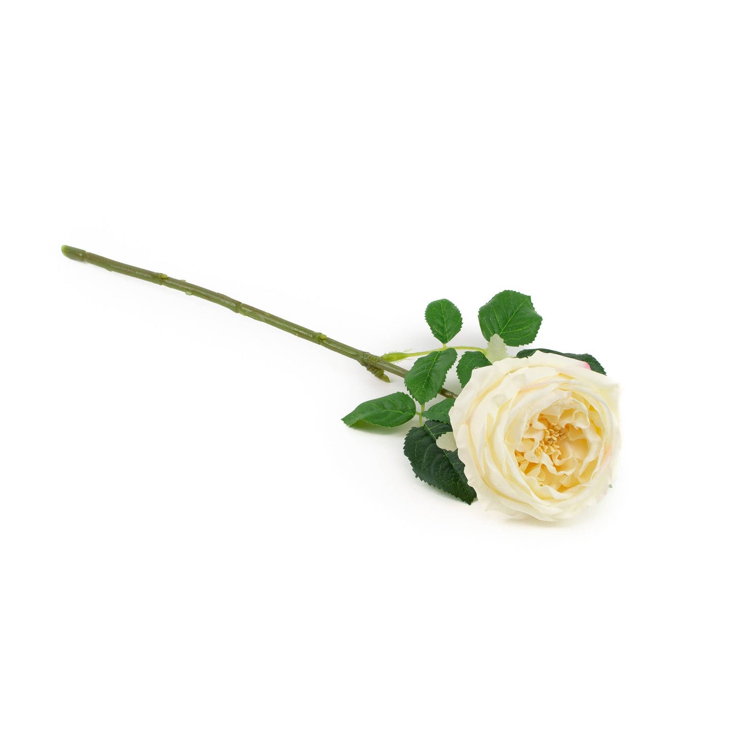 English Rose Stem Champagne Real Touch 17 Inch