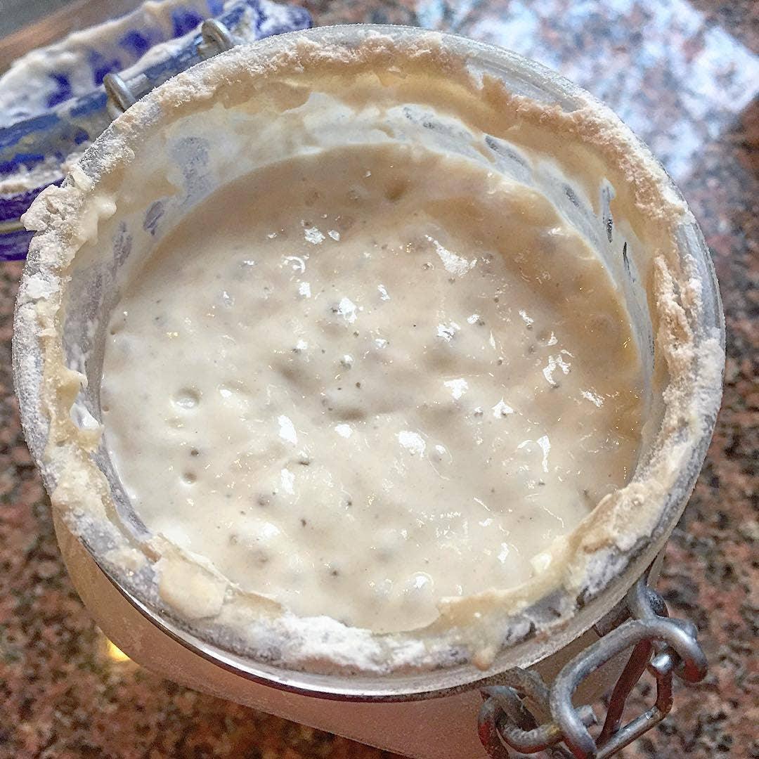 Breadtopia Sourdough Starter - Marcel’s Culinary Experience